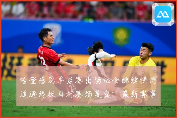 哈登感恩季后赛出场机会继续拼搏追逐终极目标赛场复盘：最新赛事动态与深度分析
